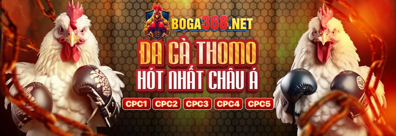 Banner khuyến mãi đá gà Awin
