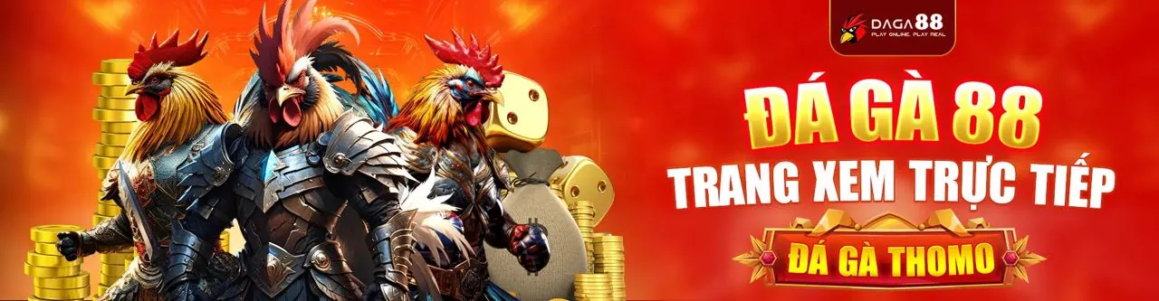 Đá Gà Awin Trực Tuyến Hấp Dẫn